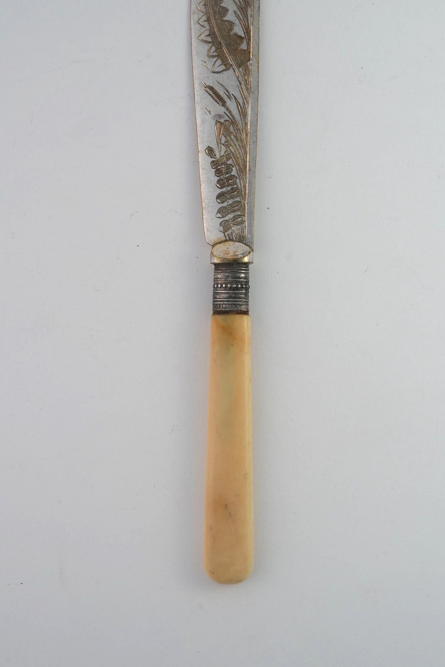 Antique Fruit Knives with Etched Blades & Cream Handles | Set of 3
