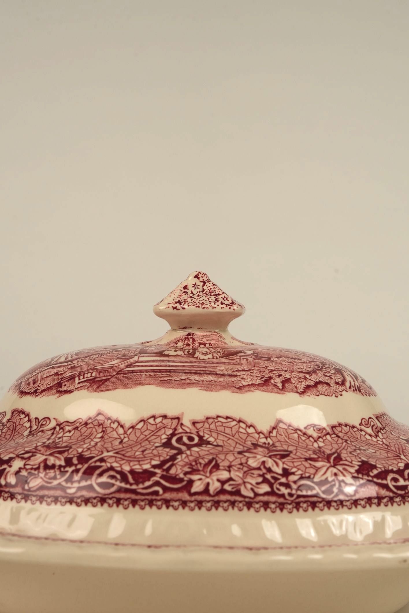 Mason's Vista Pattern Dinner Service