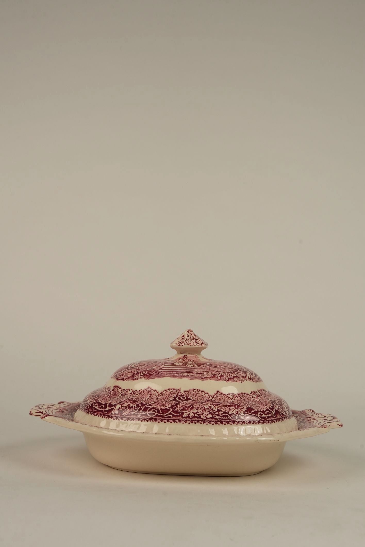 Mason's Vista Pattern Dinner Service