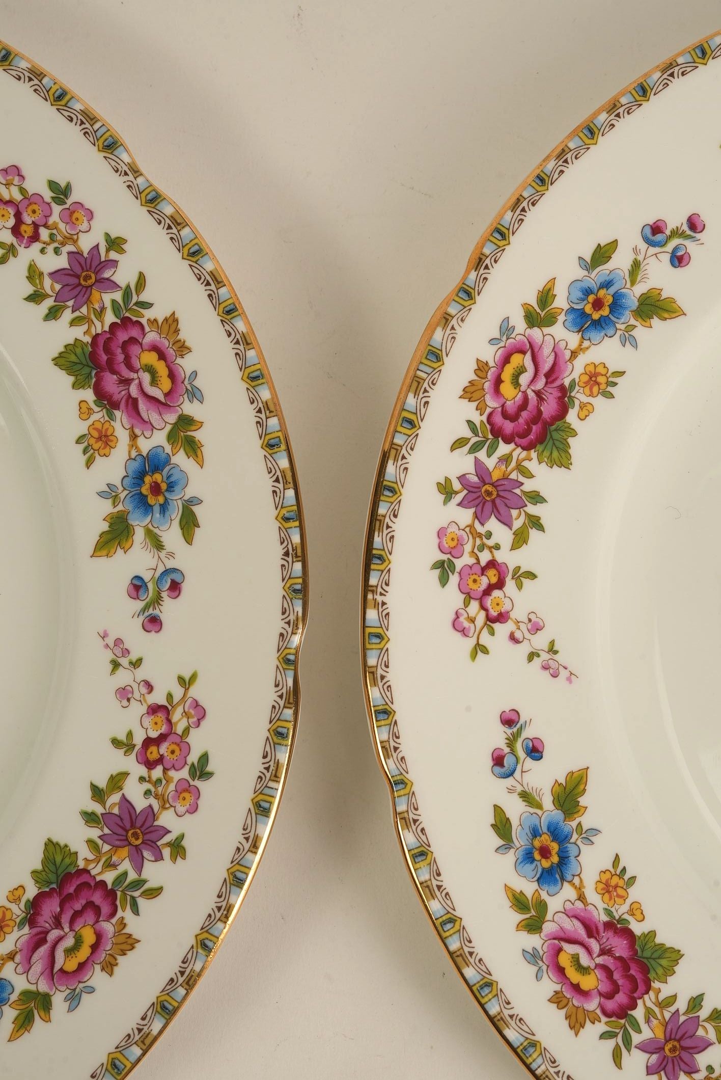 Set of 8 | Royal Grafton 'Malvern' Bone China Floral Dinner Plate with Gilt Trim