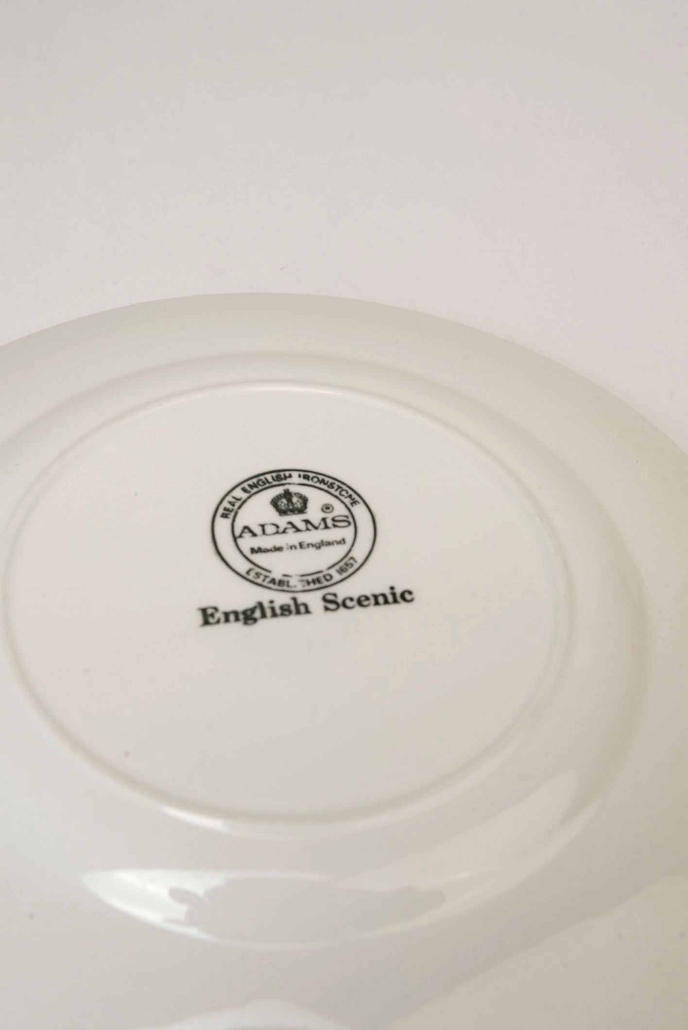 Adams 'English Scenic' Dinner Plate | Set of 2