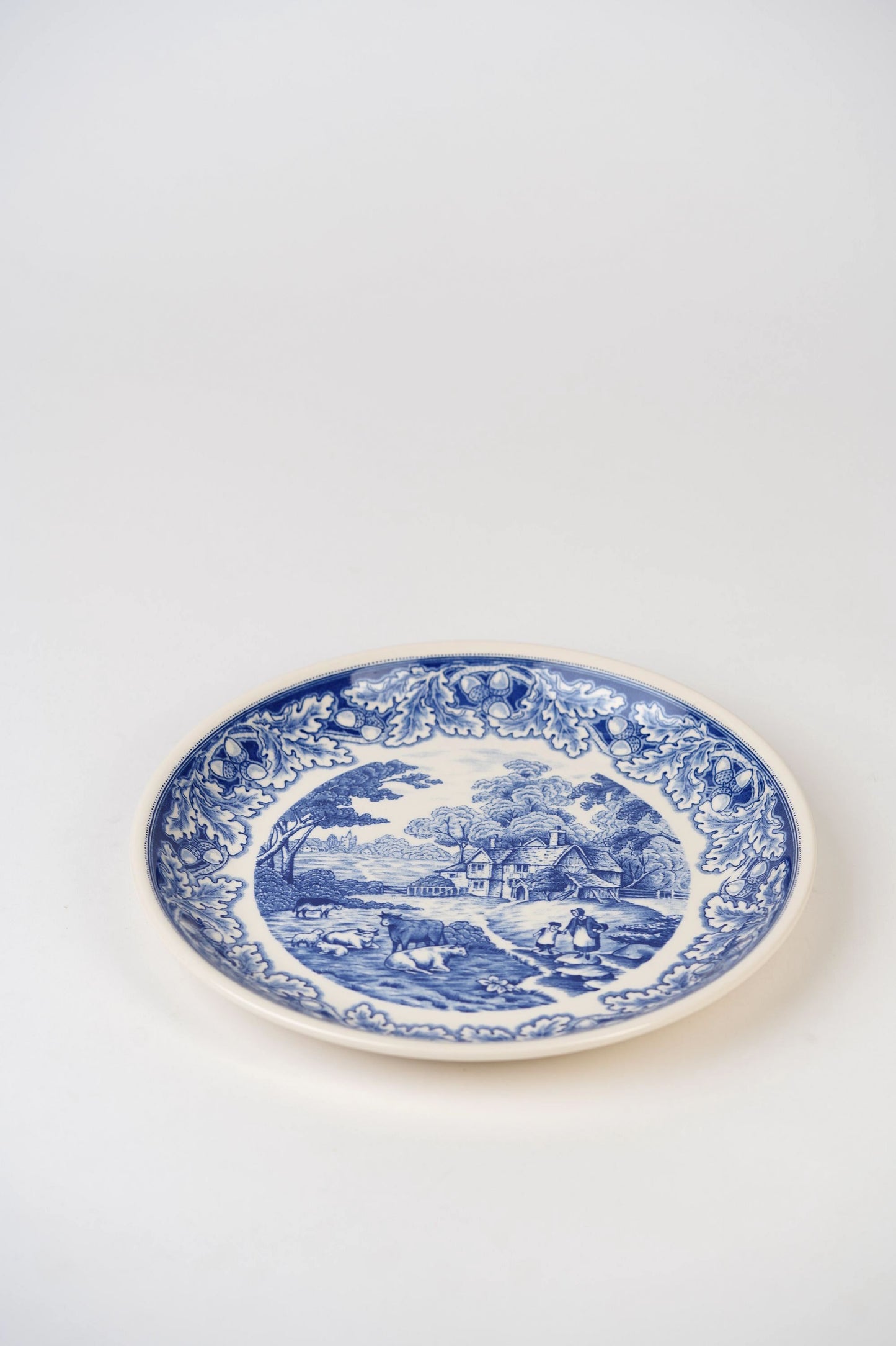 Vintage Blue Biltons Dinner Plates | Set Of 2
