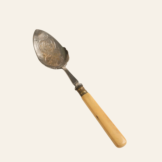 Antique Silver Serving Spoon With Bone Handle
