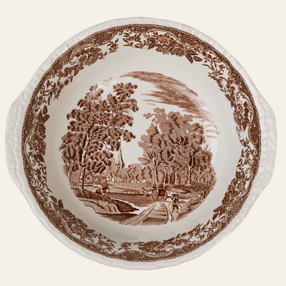 A vintage Royal Tudor Ware ceramic dinner bowl with a pastoral landscape design, featuring trees, cottages, and a floral border.