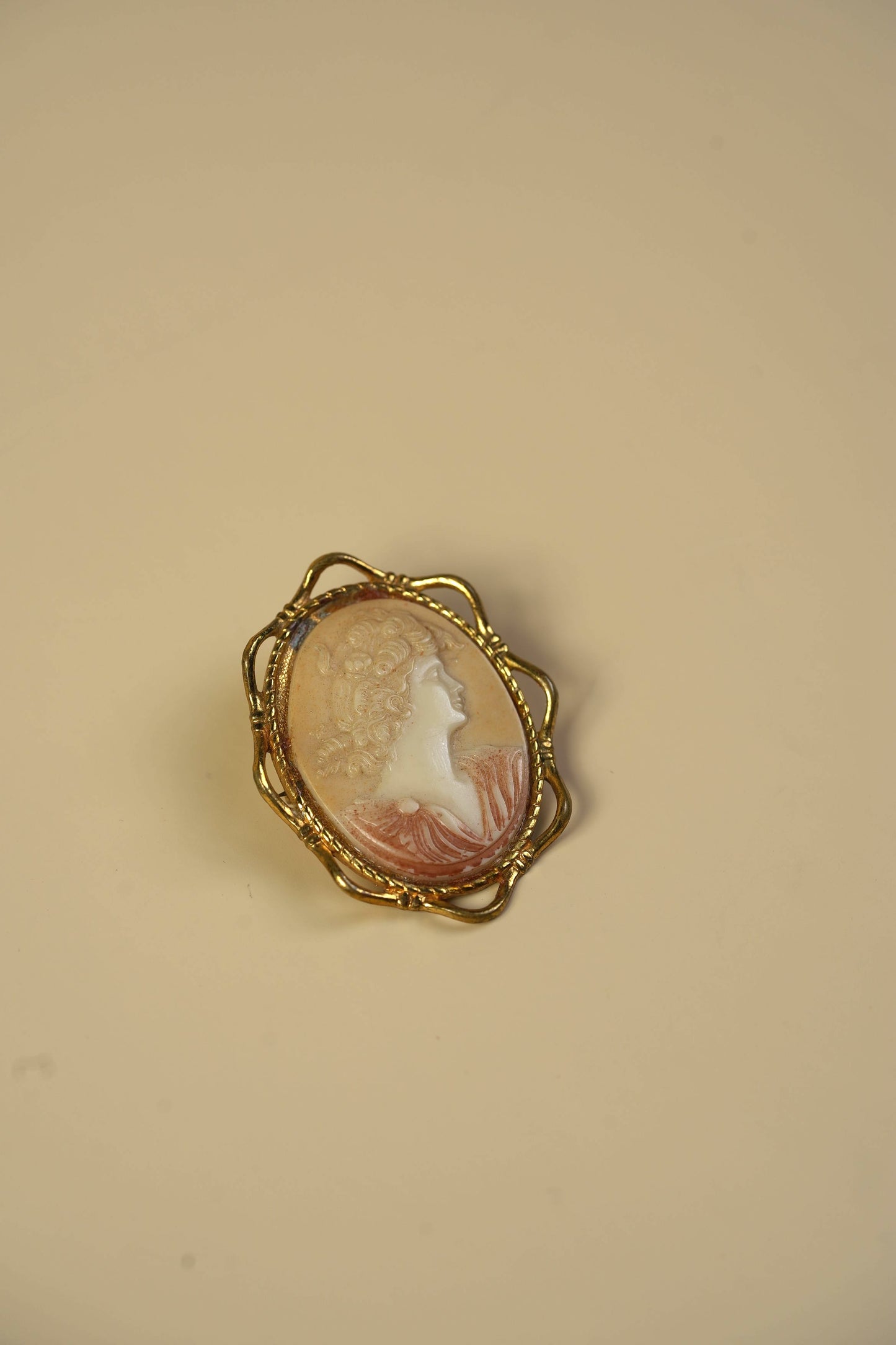 Antique Cameo Brooch | Classical Profile in Gilt Filigree Frame