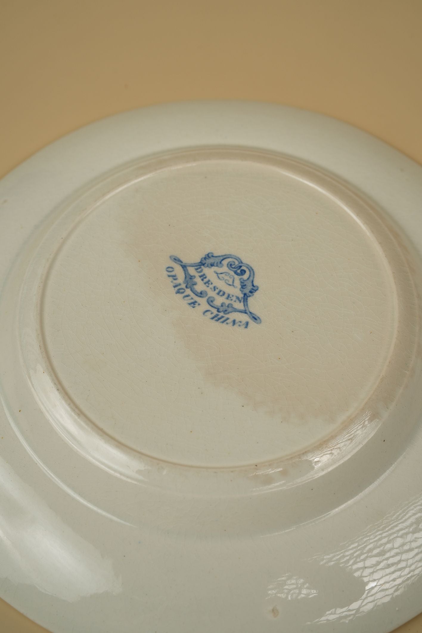 Antique Dinnerware Set by J. Ridgway