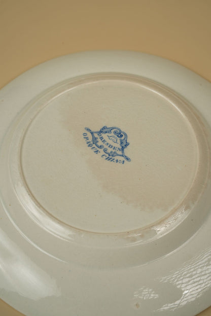Antique Dinnerware Set by J. Ridgway