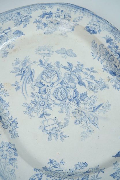Asiatic Pheasants Platter