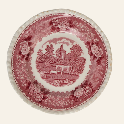 Adams 'English Scenic' Dinner Plate | Set of 2