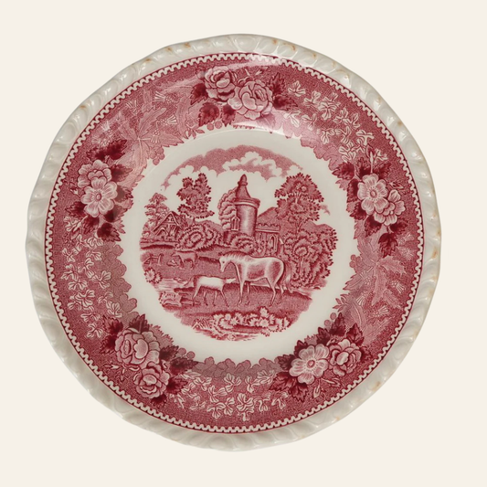 Adams 'English Scenic' Dinner Plate | Set of 2
