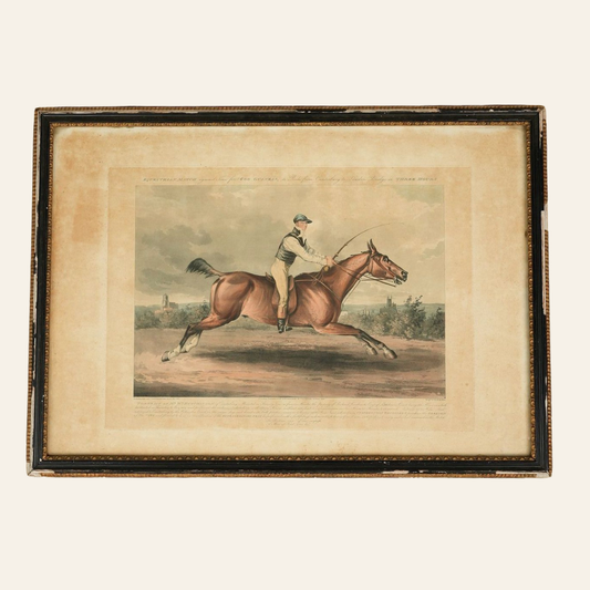 Framed Antique Hand-Coloured Lithograph