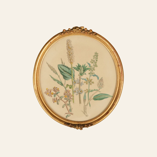 British Wildflowers Gold Ornate Frame