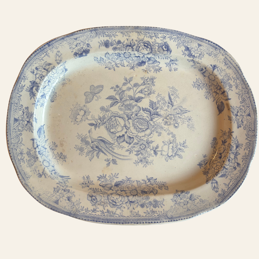 A.W & Co Asiatic Pheasants Platter