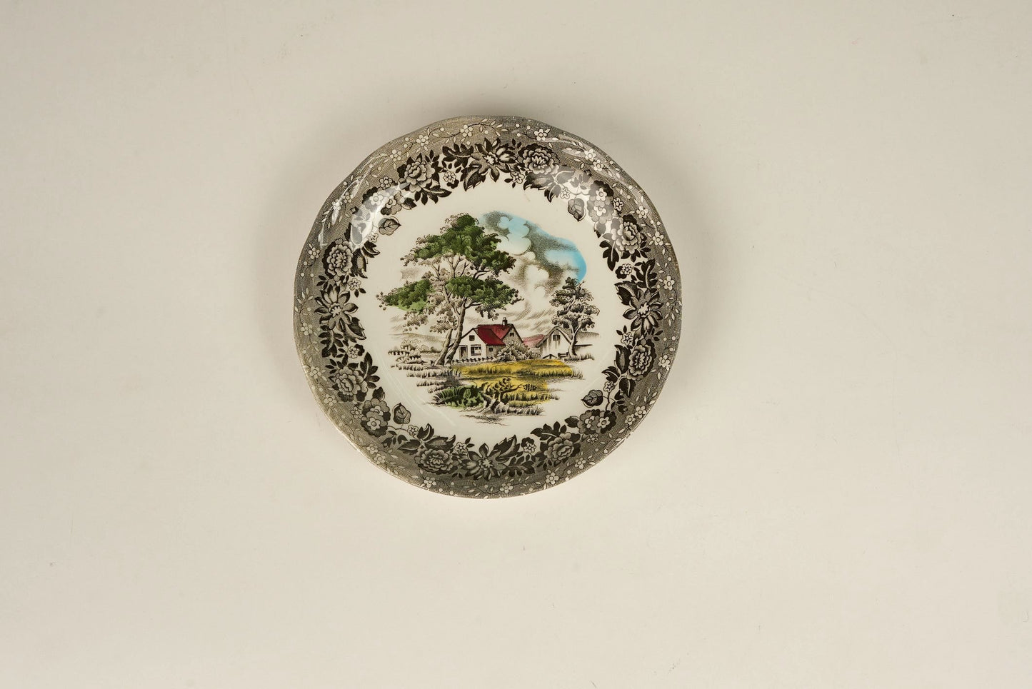 Country Style W.H Grindley & Co Vintage Coffee Service