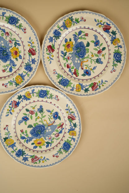 Mason's Regency Dinner Plates | Set of 3