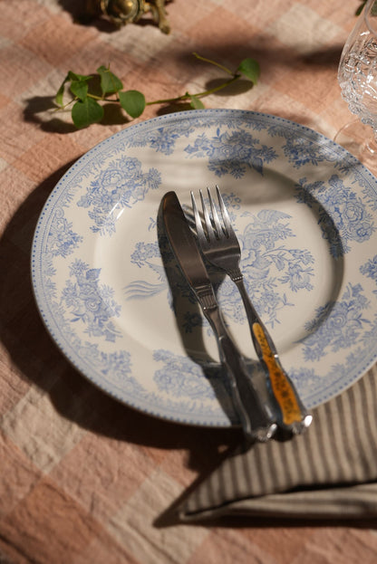 Antique Burliegh Asian Pheasants Dinner Plates | Set of 2