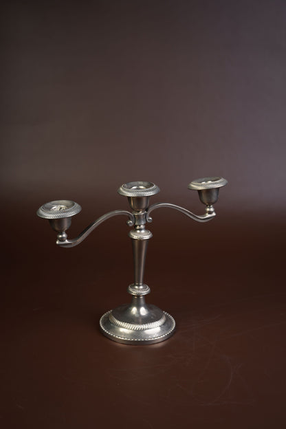 Pair of Silver-Plated Candelabra with Gadroon Detail