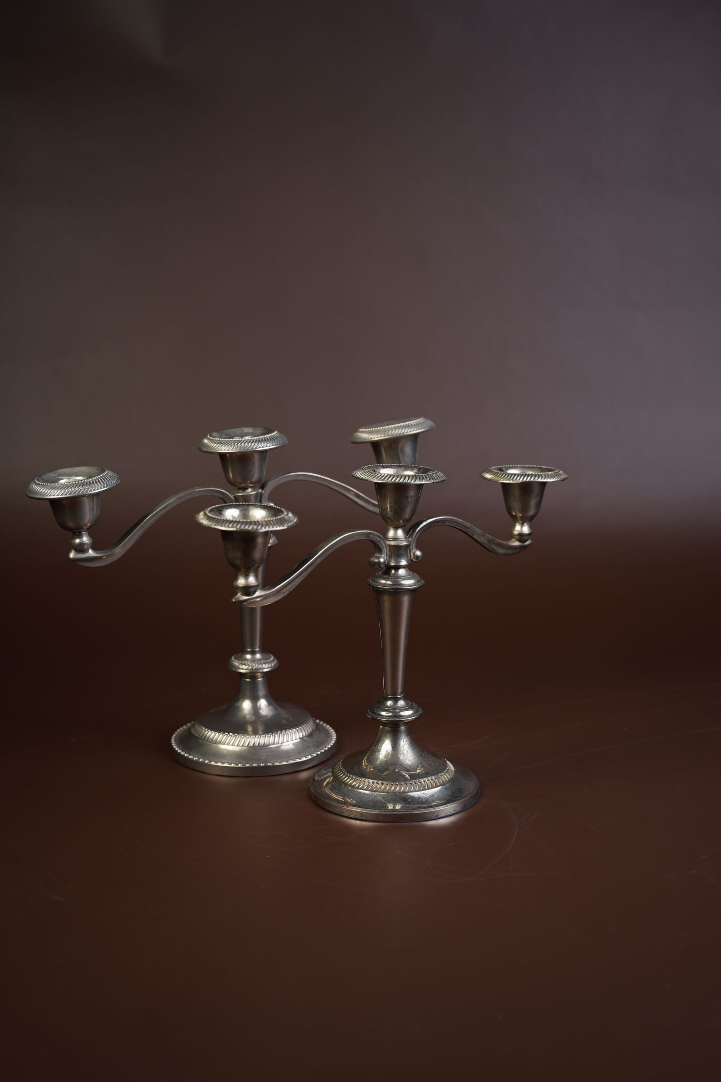 Pair of Silver-Plated Candelabra with Gadroon Detail