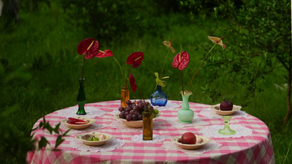 Antique Embroidered Lace Doilies | Set of 2