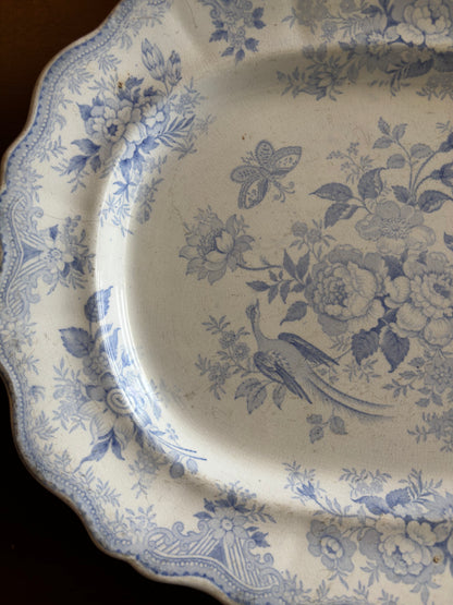 Wedgwood Asiatic Pheasants Platter