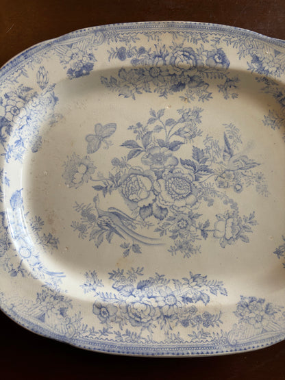 A.W & Co Asiatic Pheasants Platter