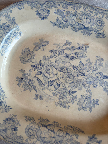 Asiatic Pheasants Platter