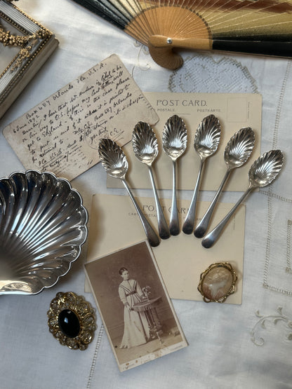 Set of 6 Oyster-Shaped Silver-Plated Teaspoons