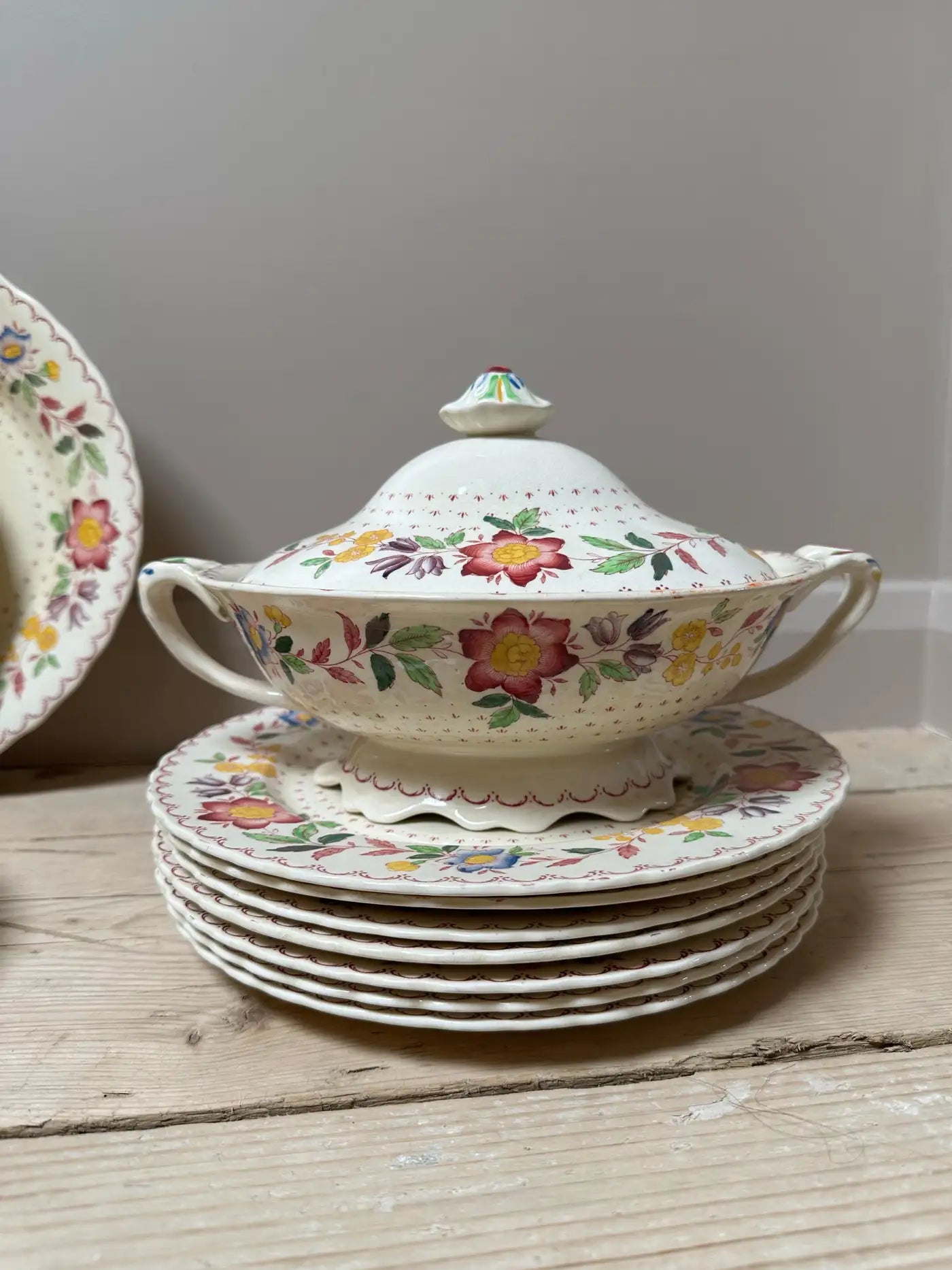 Mason's Arbor Dinner Service c. 1890