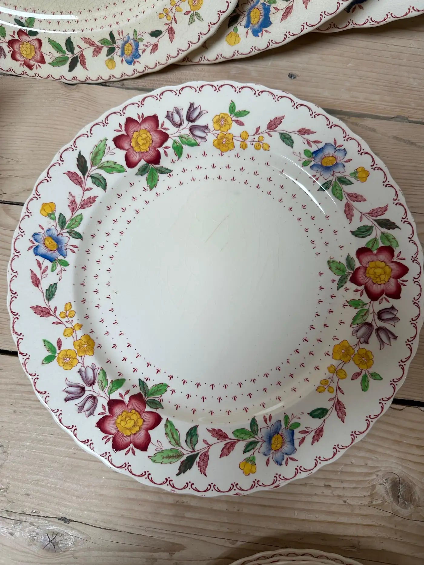 Mason's Arbor Dinner Service c. 1890