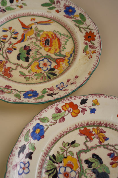 Mason's Ironstone Plates, Exotic Bird & Floral Design | Set of 2