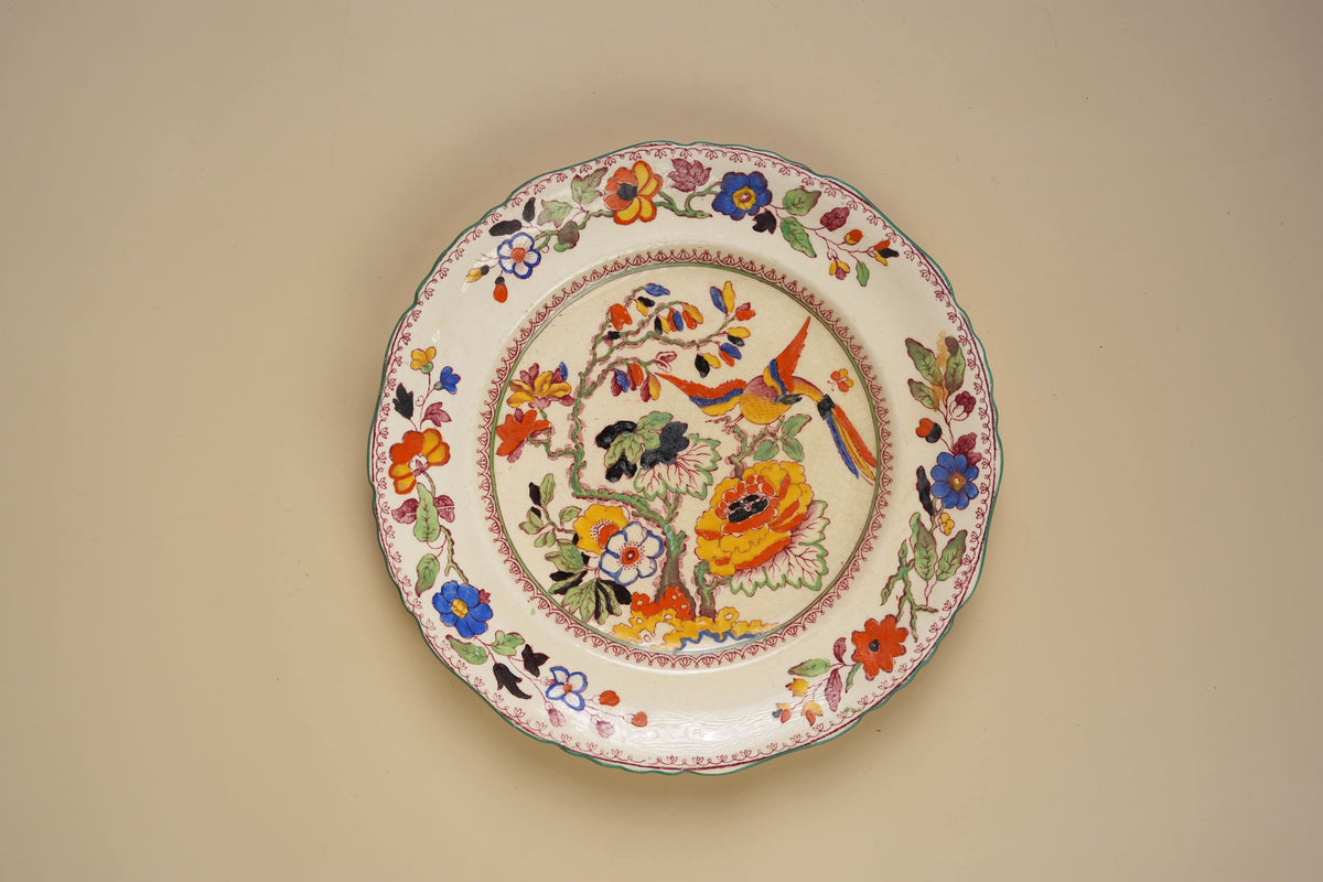 Mason's Ironstone Plates, Exotic Bird & Floral Design | Set of 2