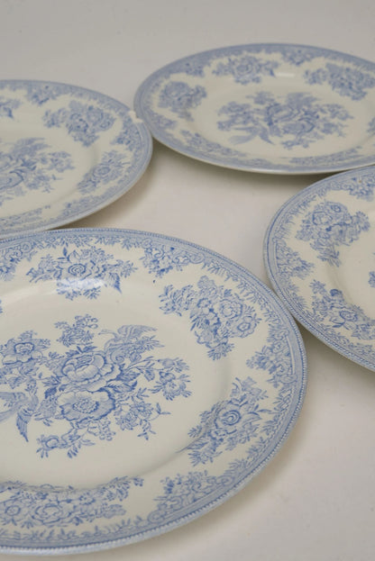 Antique Burliegh Asian Pheasants Dinner Plates | Set of 2