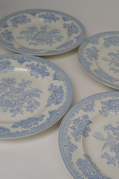 Antique Burliegh Asian Pheasants Dinner Plates | Set of 2