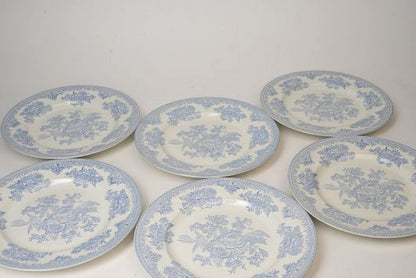 Antique Burliegh Asian Pheasants Dinner Plates | Set of 2