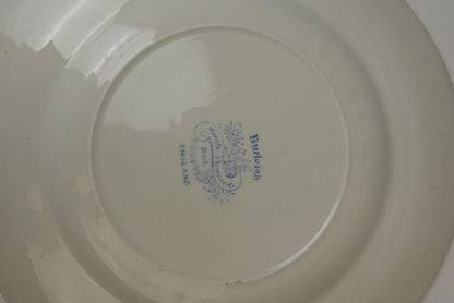 Antique Burliegh Asian Pheasants Dinner Plates | Set of 2