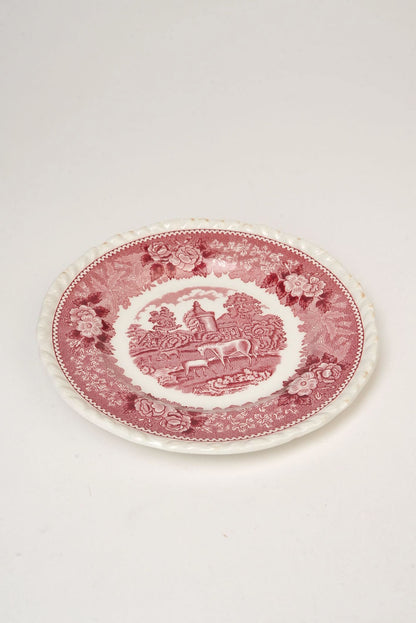 Adams 'English Scenic' Dinner Plate | Set of 2