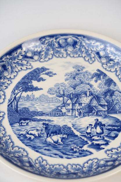 Vintage Blue Biltons Dinner Plates | Set Of 2
