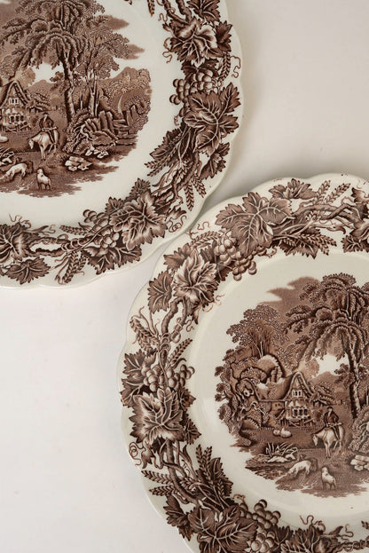 Booth's "British Scenery" Dinner Plates | Set of 2