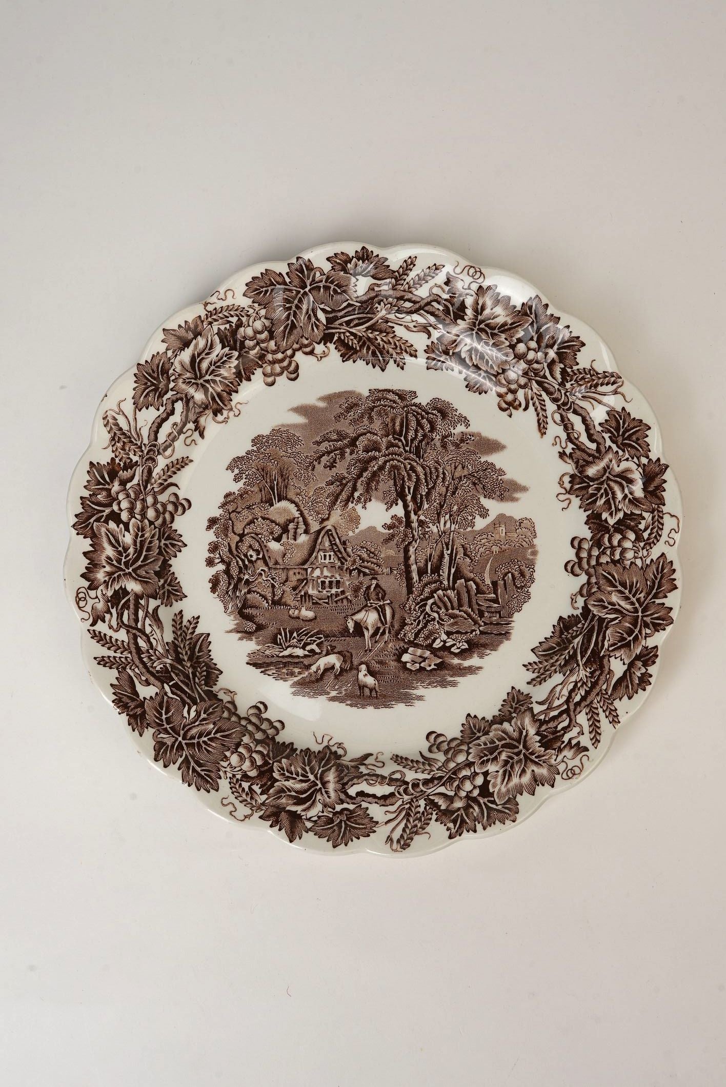 Booth's "British Scenery" Dinner Plates | Set of 2