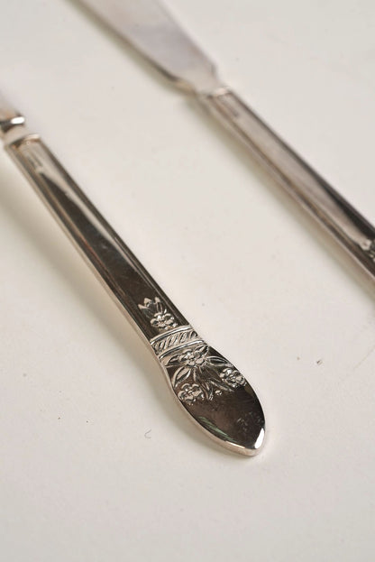 Vintage Knife & Fork | Set of 12