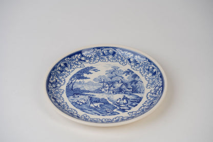 Vintage Blue Biltons Dinner Plates | Set Of 2