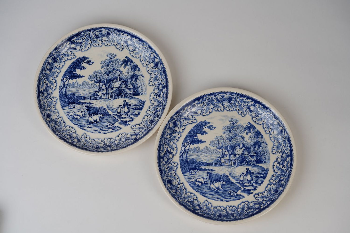 Vintage Blue Biltons Dinner Plates | Set Of 2