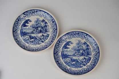 Vintage Blue Biltons Dinner Plates | Set Of 2