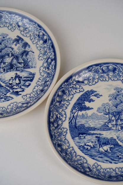 Vintage Blue Biltons Dinner Plates | Set Of 2