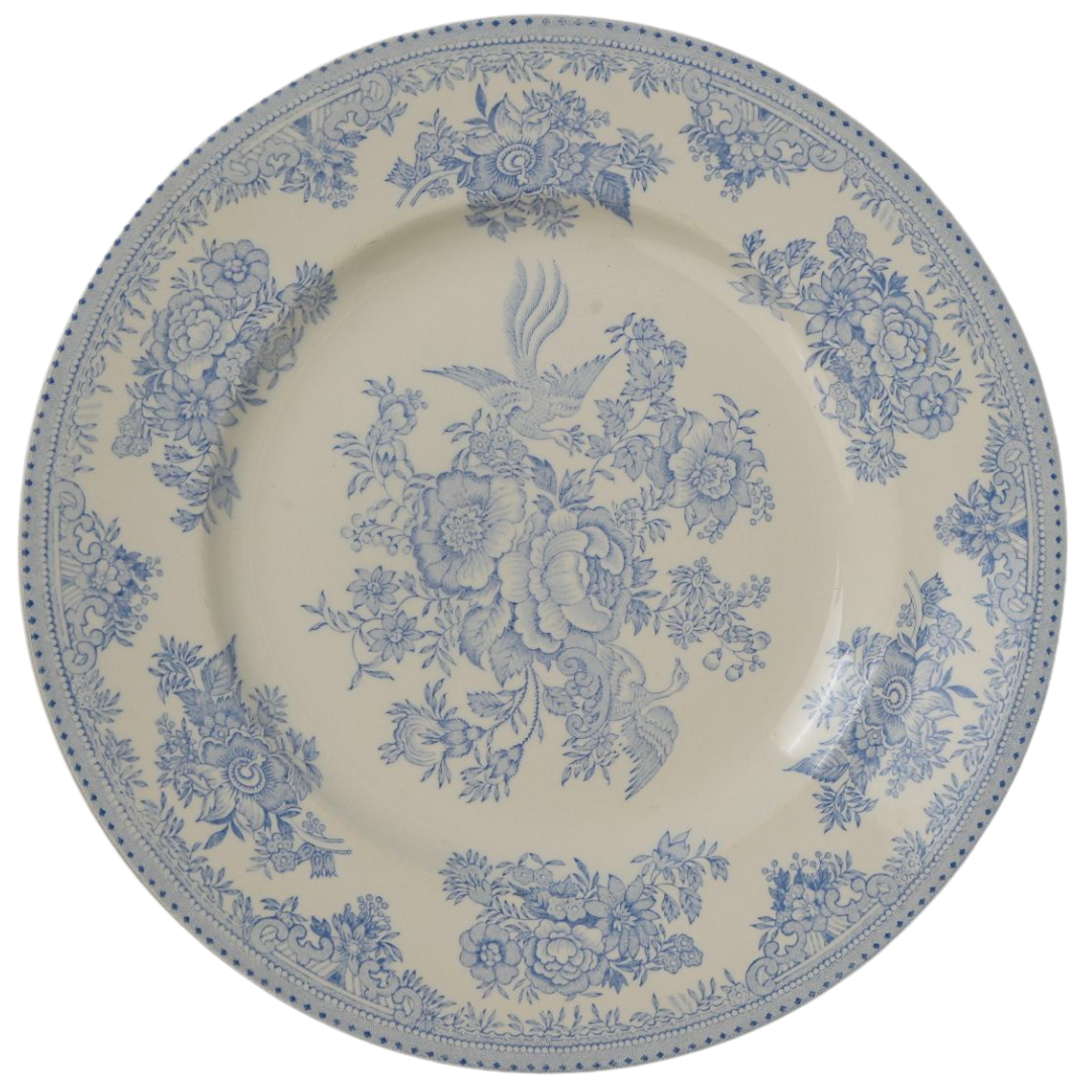 Antique Burliegh Asian Pheasants Dinner Plates | Set of 2