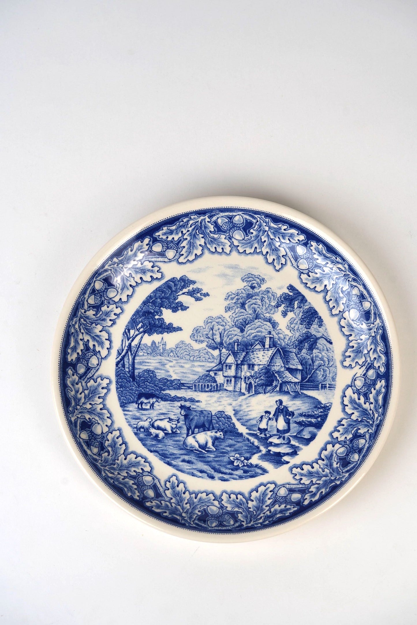 Vintage Blue Biltons Dinner Plates | Set Of 2