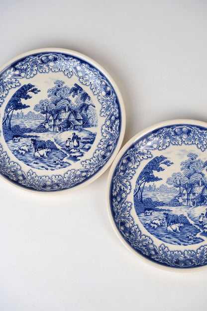 Vintage Blue Biltons Dinner Plates | Set Of 2