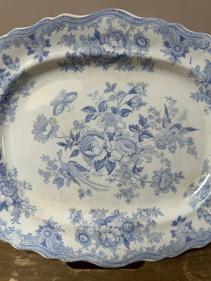 Wedgwood Asiatic Pheasants Platter