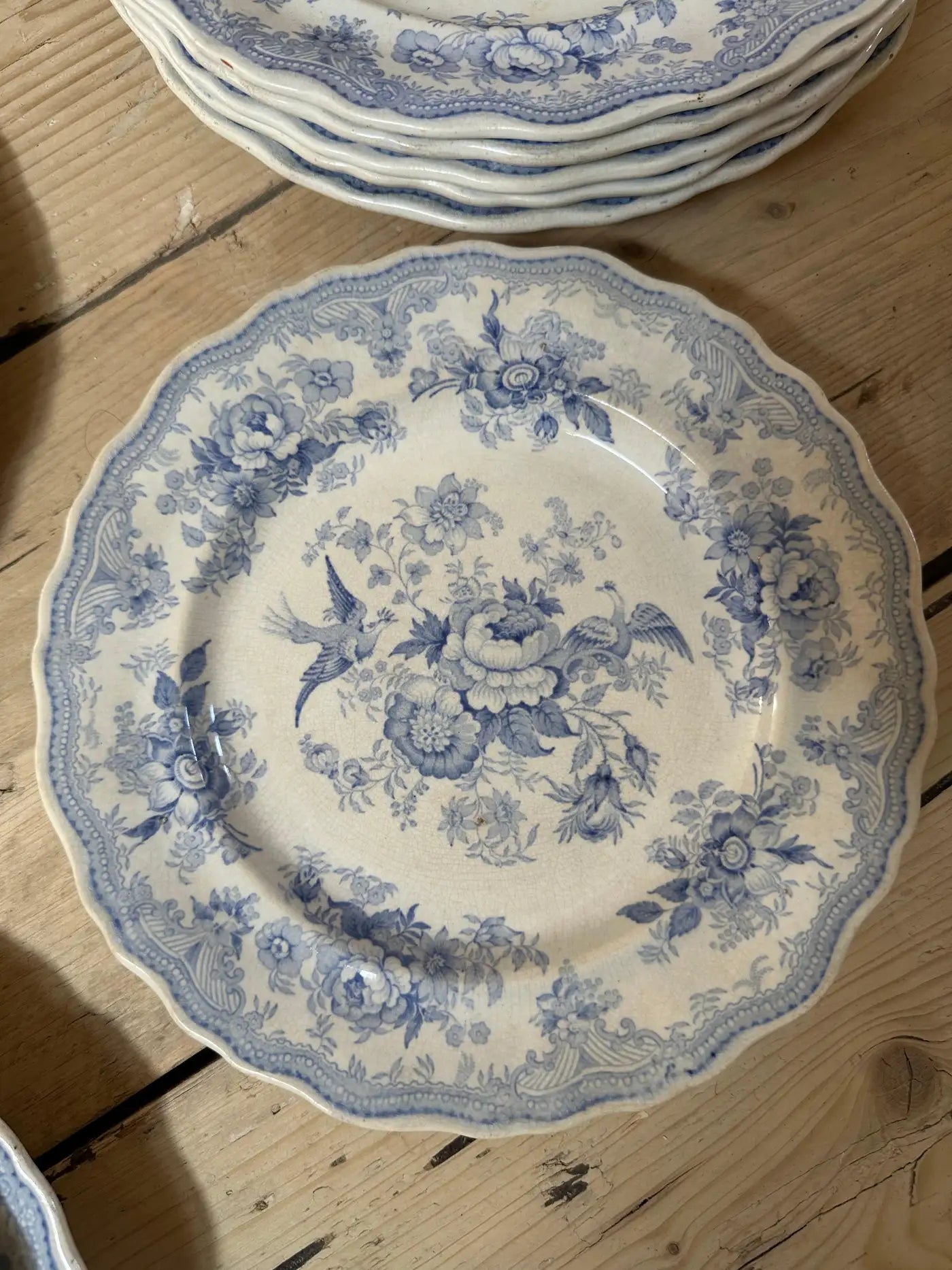 18-Piece Podmore, Walker & Co. Asiatic Pheasants Dinner Service