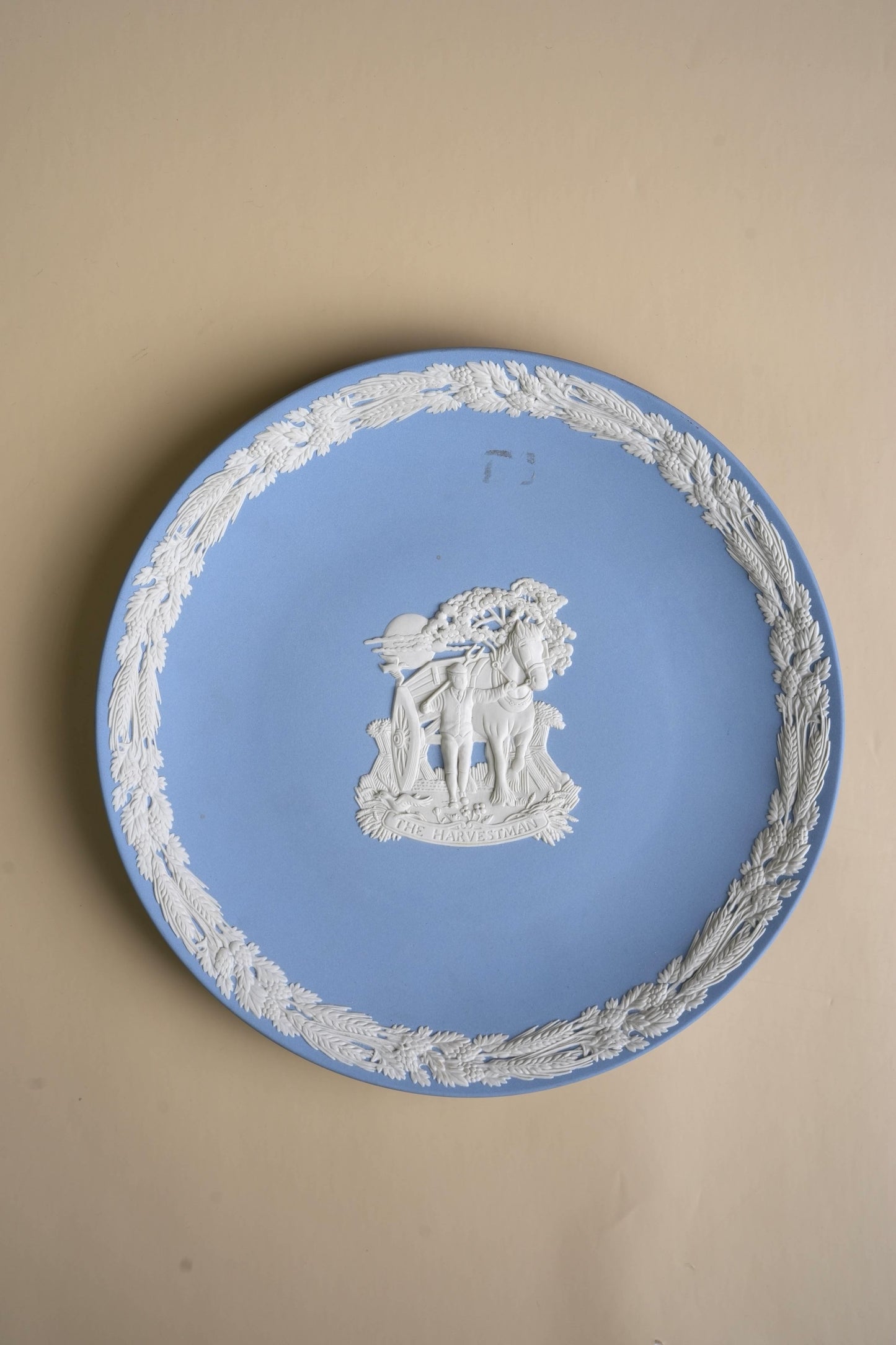 Jasperware Wedgwood Plate